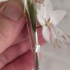 Bijou porte fleur en argent